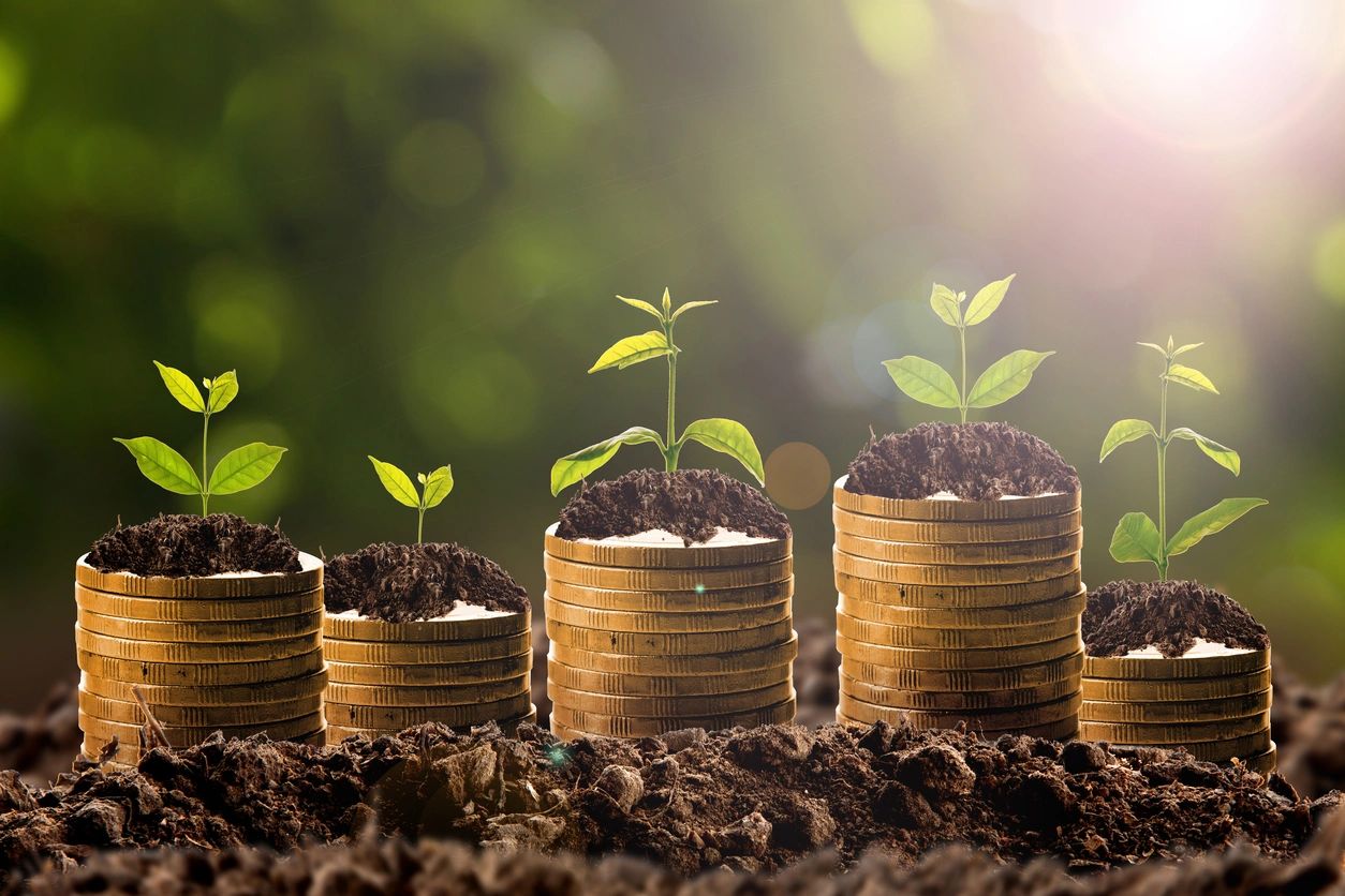 A row of coins with plants growing on them.